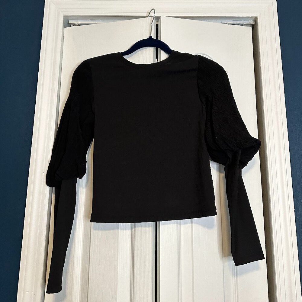 Zara Balloon Sleeve Top